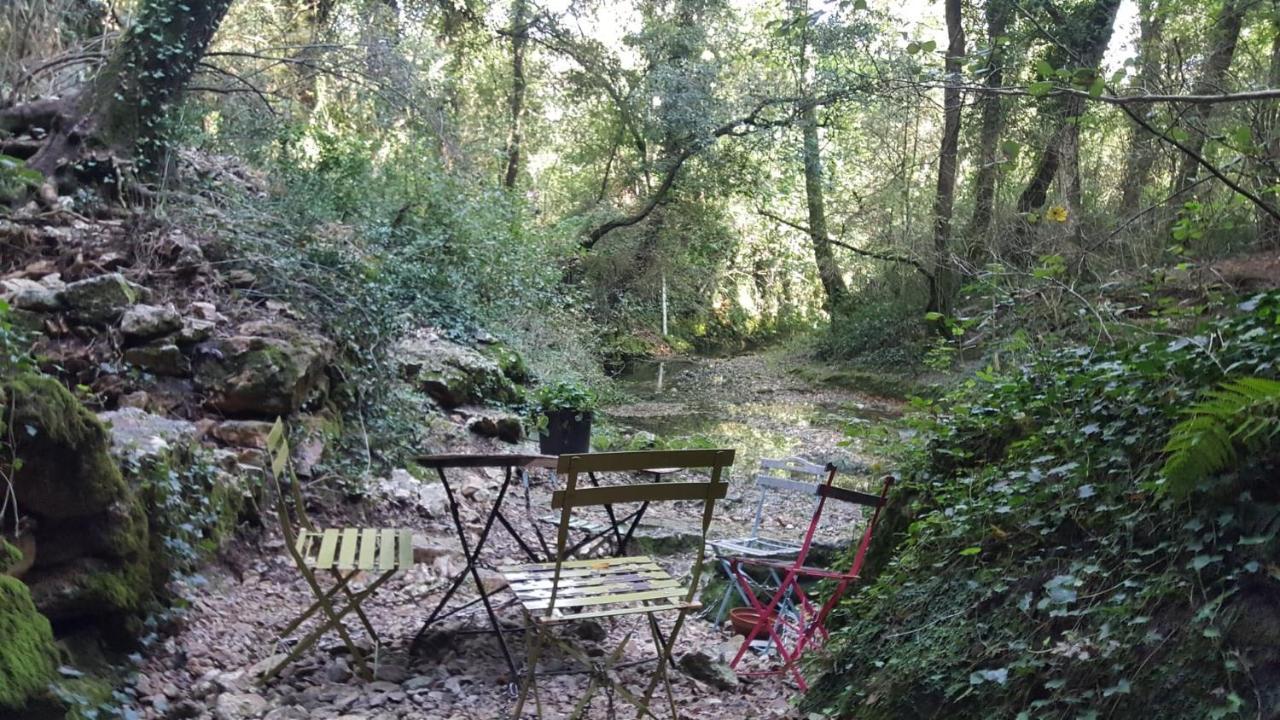 Hostel les Terrasses du Roc Saint-André-de-Roquepertuis Extérieur photo